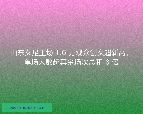 山东女足主场 1.6 万观众创女超新高，单场人数超其余场次总和 6 倍